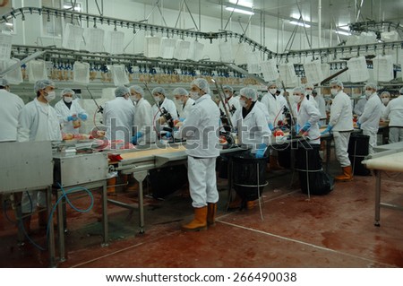 ISTANBUL, TURKEY - APR   23:  Workers at a chicken factory   on April  23, 2006 in Istanbul, Turkey.