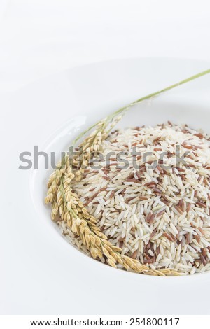 Mixed rice