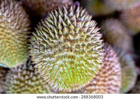 Durian  Thai  favorite  fruit  well  known  around  the  world.