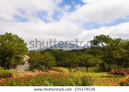 Vietnamese landscape with forest, hills, lake, flowers and sky