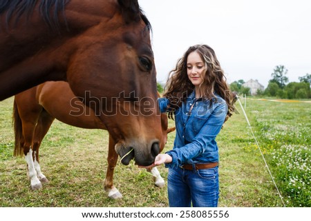Young beautiful girl feeding a horse at summer time