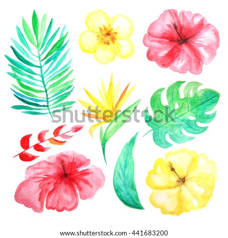 Set Of Watercolor Hand Painted Tropical Flowers, Leaves And Plants