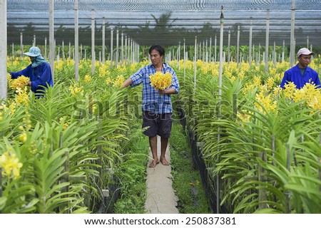 SAMUT SONGKRAM, THAILAND - MAY 22, 2009: Unidentified people work at the orchid farm  on May 22, 2009 in Samut Songkram, Thailand.