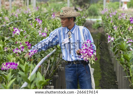 SAMUT SONGKRAM, THAILAND - MAY 22, 2009: Unidentified man works at the orchid farm  on May 22, 2009 in Samut Songkram, Thailand.