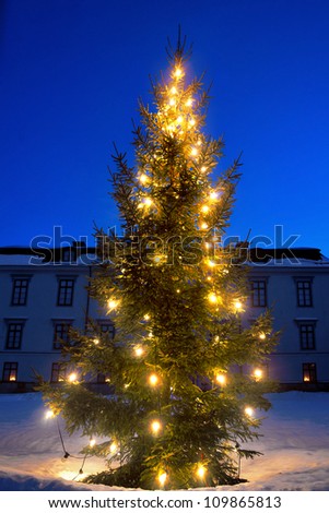 Christmas tree in front of big mansion