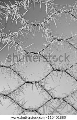 Big ice crystals on metal wire fence