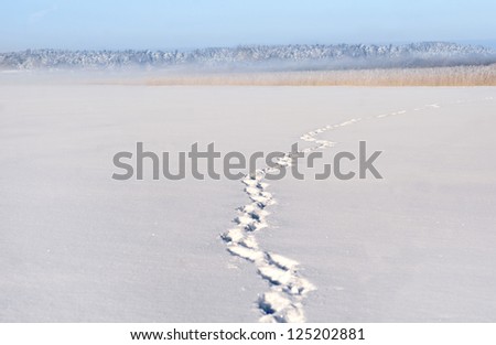 footsteps in snow on frozen lake on bright winter day