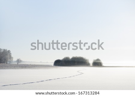 Lake with small islands covered in ice and snow on foggy day