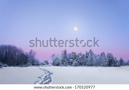 Scandinavian evening winter landscape with forest on purple sky with full moon