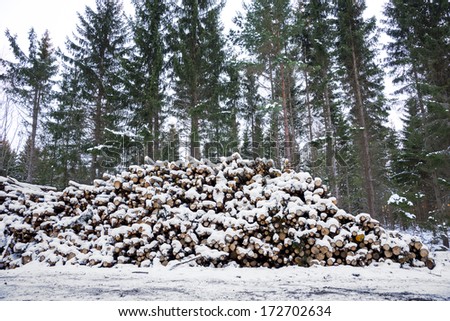 Piles of timber by Swedish dirt road covered in snow