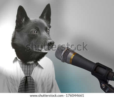 Dog Dressed Up As Serious Politician Giving A Speech