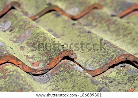 Close up of tiled roof with fungus