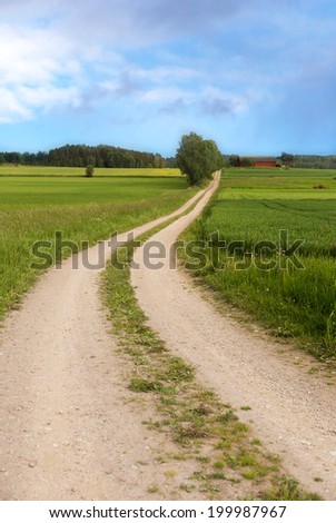 Winding dirt road in sunny rural scandinavian summer landscape