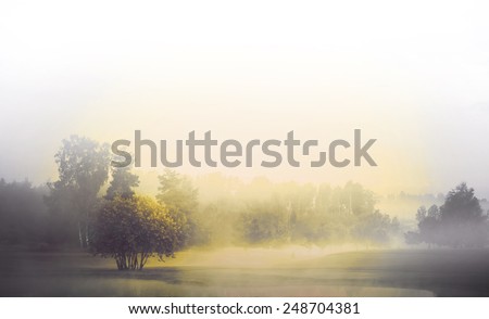 Monochrome landscape with fog and sunshine, silhouette of woman in foreground