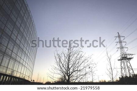 Office building,tree and electricity pylon in the sunset.