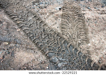 Tire tracks in frozen mud.