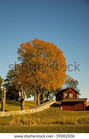 Stone wall and a shed under a colorful tree in the fall