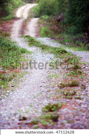 Close up of winding dirt road in a forest
