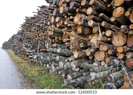 Stack of timber to be used for wood chips or pellets