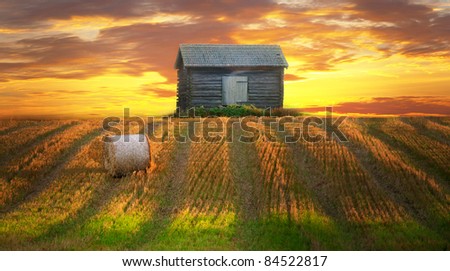 Rural landscape in evening with hay bale in focus in foreground and shed in background