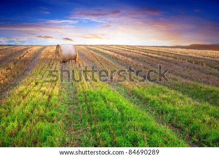hay bale on harvested field in evening light