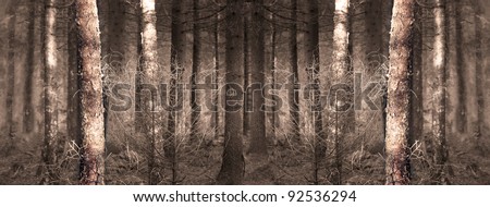 True wallpaper image of spooky forest. The picture is symmetrical which means it can be copied and joined seamless as many times as required.