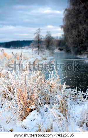 Grass in rime frost in beautiful winter landscape