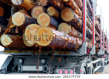 Close up of timber on trailer of timber truck