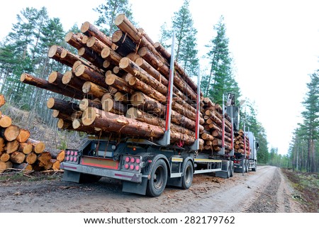 Timber truck just finished loading on small scandinavian dirt road