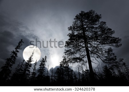 spooky forest with silhouettes of trees, dark sky and big full moon