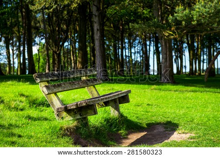 Wooden Bench near the Forest in the Park, England, UK