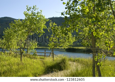 Path turns left by Wonderland Lake near Boulder, Colorado, with small cottonwood trees and a fence