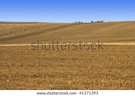 Tilled dirt field in the Colorado prairie in winter