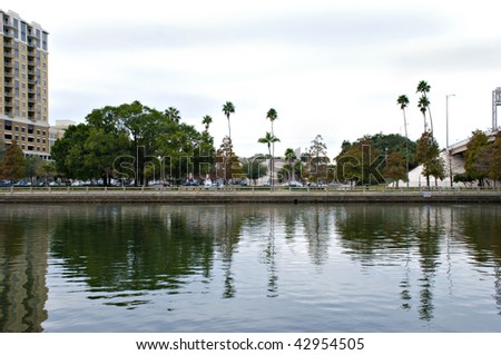 Riverside view in Tampa, Florida with palm trees and reflections