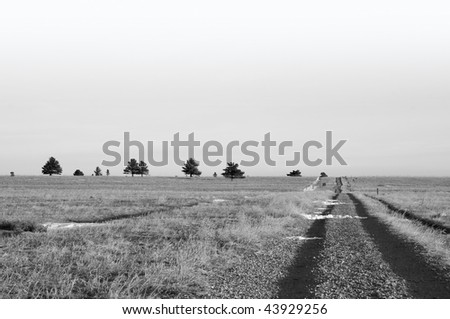 Small gravel road leads over the crest of an open grassy hill, in black and white