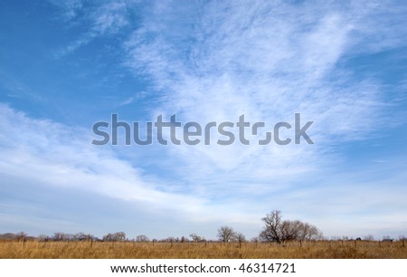 Golden grasses and big bright blue sky with clouds in the open spaces of the American West, on the Colorado prairie