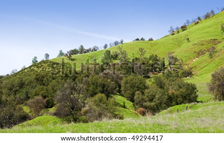 Flank of a small mountain in California gold country with oaks, chaparral, and bright new spring grasses
