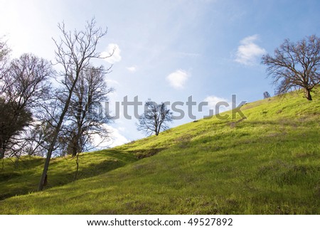 Images Of Trees In Winter. with bare trees of winter