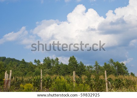 Clouds rise above a hill and small rural cornfield