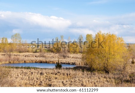Small pond on the Colorado prairie with reeds and golden trees around it.  There are suburban homes visible in the distance.