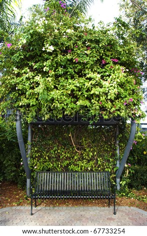 Bougainvillea flowery bushes rise above an iron public bench, resting on patterned brick.