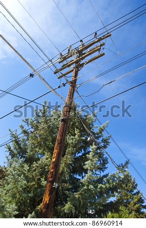 Electrical Pole with Crossed Wires Going in Four Directions, with Interesting Tree and Sky