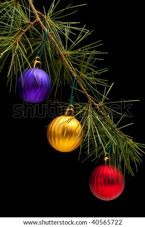 Red golden and purple matte bauble christmas ornaments on pine tree branch. Black background. Vertical composition.