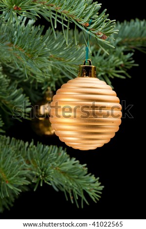Golden bauble christmas ornaments on pine tree branch. Black background. Vertical composition.