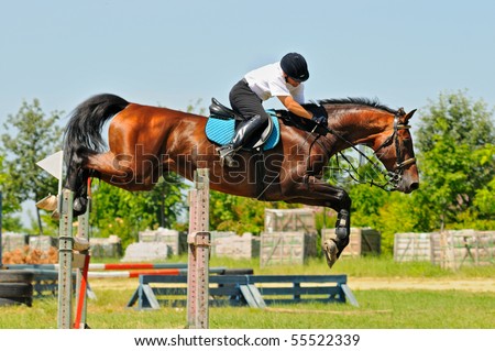 Bay horse and rider over a jump