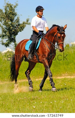 Rider on bay sportive horse in the field