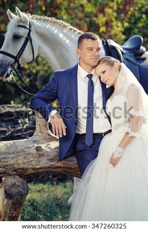Wedding. Bride and groom with white horse