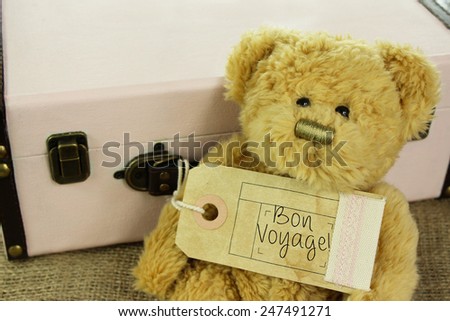 Teddy Bear with vintage suitcase and \'Bon voyage!\' meaning \'safe journey\' on luggage tag.