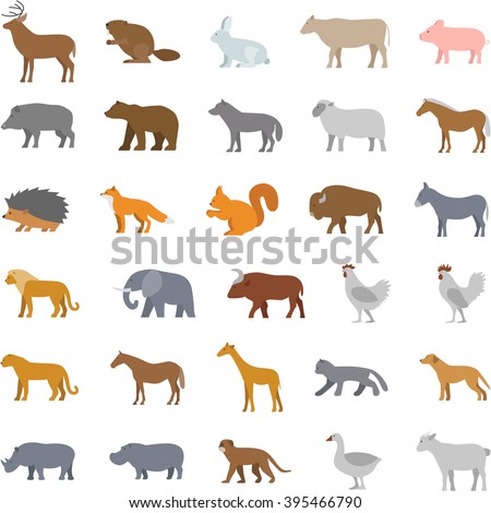 Vector set flat domestic animals. Modern collection flat wild animals. Flat icons domestic and wild animals on white.