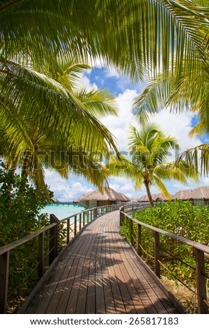 Bora Bora, Walkway to sea and bungalows / villas.  Palm trees framing the picture to luxury thatched rooms